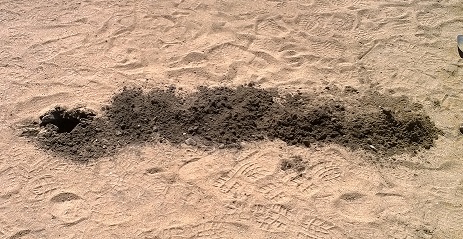 hand auger soil profiling